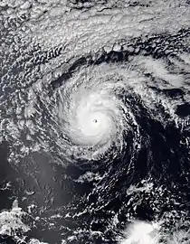 A satellite photo of Hurricane Darby while a Category 3 major hurricane on July 13.