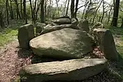 Megalithic chambered tomb "Darpvenner Steine II"