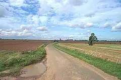 A narrow road between two arable fields