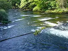 Detail of fish ladder on the River Dart in England.