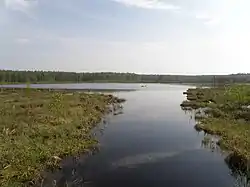 Daryino Lake (near Novki)