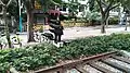 Dashatou Railway Park signal lights and rail landscape