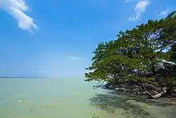 Dầu Tiếng Reservoir