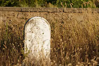 David S. Dye gravestone, died 1875