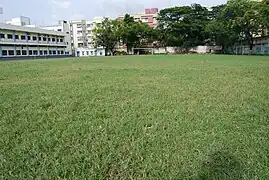 School playing field