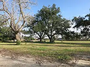 The original homesite for the Dew House along Highway 6 north of Oilfield Road was for sale in 2013.