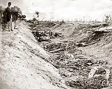 Confederate dead at Bloody Lane, looking east from the north bank. Alexander Gardner photograph.