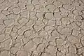 The parched ground in Deadvlei.