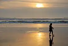 Image of a young girl silhouetted by the setting sun, walking north along the beach.