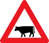 A27: Cattle