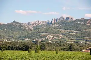 Dentelles de Montmirail