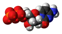 Space-filling model of the deoxycytidine diphosphate molecule as an anion (3- charge)