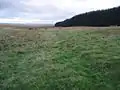 Dere Street at King's Inch. south of Soutra Aisle