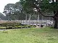 Derry Burn footbridge