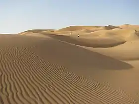 The desert in the outskirts of Liwa Oasis