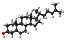 Ball-and-stick model of the desmosterol molecule