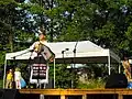 Accordionist during folklore festival