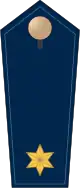 Insignias of a Polizeirat