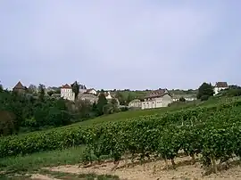 A general view of Dezize-lès-Maranges