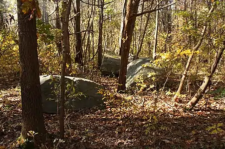 Boulders of diabase are common.