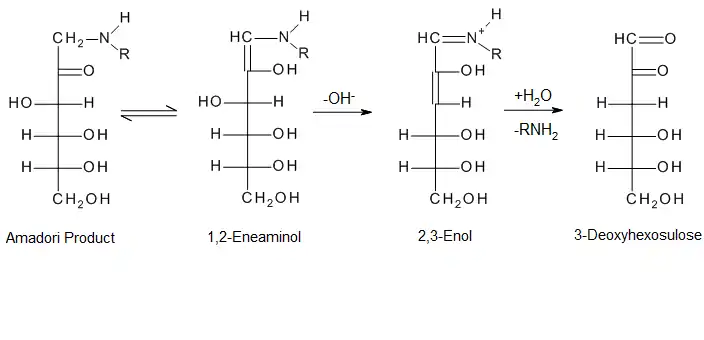 Formation of dicarbonyl from open-chain Amadori compound