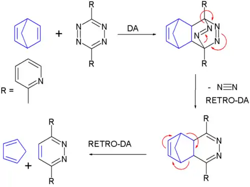 reaction of norbornadiene with 3,6-di-2-pyridyl-1,2,4,5-tetrazine