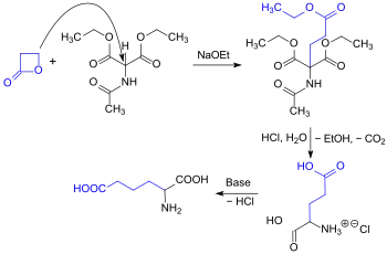 synthesis of rac-Glu