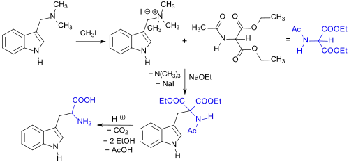 synthesis of rac-Trp