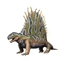 Dimetrodon may have used the sail on its back to gather heat