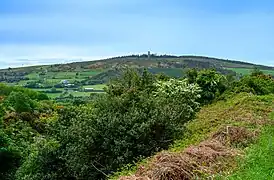 From the side of the glen looking south towards Ballycorus Leadmines