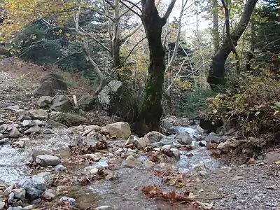 A tiny river flowing by the Dirfi mountain.