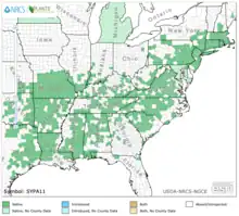 Symphyotrichum patens distribution map: US — Alabama, Arkansas, Connecticut, Delaware, District of Columbia, Florida, Georgia, Illinois, Indiana, Kansas, Kentucky, Louisiana, Maine, Maryland, Massachusetts, Mississippi, Missouri, New Hampshire, New Jersey, New York, North Carolina, Ohio, Oklahoma, Pennsylvania, Rhode Island, South Carolina, Tennessee, Texas, Virginia, and West Virginia.