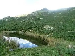 A small lake surrounded by reeds on the slope of a mountain covered in vegetation with rocky outcrops