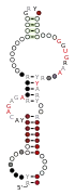 A consensus secondary structure and primary sequence for the docking elbow RNA motif.