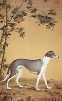 One of a series in Ten Prized Dogs, painted by the Giuseppe Castiglione