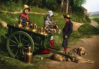 Image 2DogcartImage credit: Detroit Publishing Co.A photochrom from the late 19th century showing two peddlers selling milk from a dogcart near Brussels, Belgium. Dog-drawn carts were prohibited in Great Britain in the early 1900s on animal welfare grounds, but some still exist in France and Belgium. The modern-day sport of carting involves large dogs pulling carts.More selected pictures