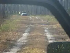 Hunters listening for the direction of dogs following the scent of a white tail deer