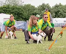 Photo: Dogs & handlers lining up to race.