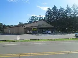 Dollar General store in Shinglehouse