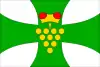 Flag of Domanín