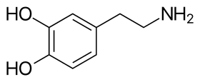 Skeletal structure diagram of dopamine