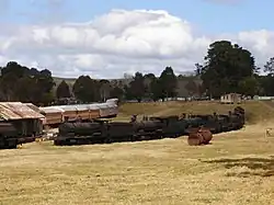 Engines and carriages on display outside the Dorrigo Steam Railway and Museum.