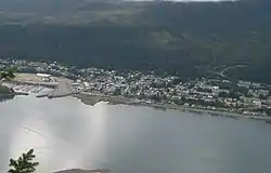 Overhead view of the Douglas townsite from the Mount Roberts Tramway, August 2010