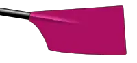 Image showing the rowing club's blade colours