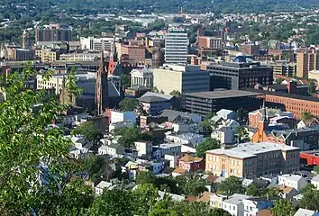 A cityscape of medium-height high-rises and some older buildings amid trees, seen from above through some leaves and branches