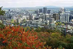 Downtown Montreal seen from Mont Royal