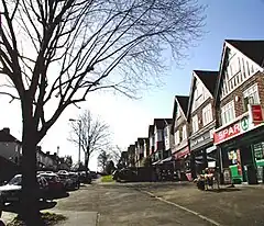 Traditional small shops on tree lined road