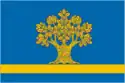 Flag of Dubovka