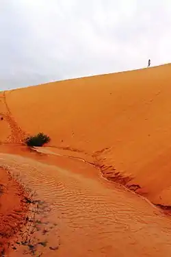 Dunes in Jalapão