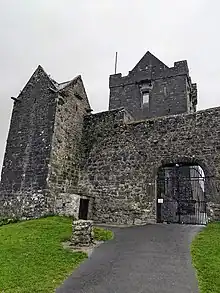 Portrait photo showing the road leading up to the Dunguaire castle